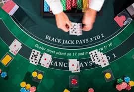 Riwayat taruhan dan kemenangan Kolam Kamboja di akun miniclip
